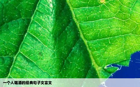 一个人喝酒的经典句子文言文