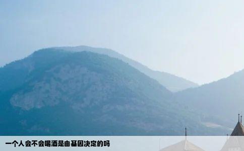 一个人会不会喝酒是由基因决定的吗