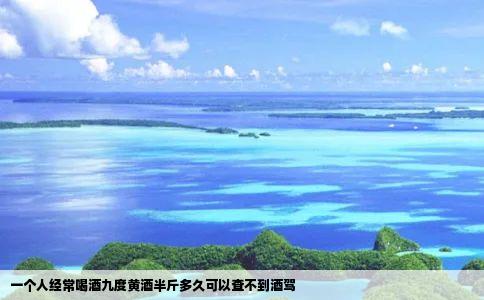 一个人经常喝酒九度黄酒半斤多久可以查不到酒驾