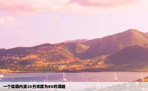 一个容器内满20升浓度为80的酒精