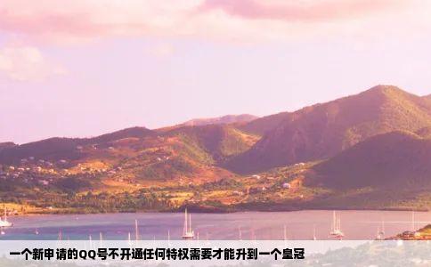 一个新申请的QQ号不开通任何特权需要才能升到一个皇冠