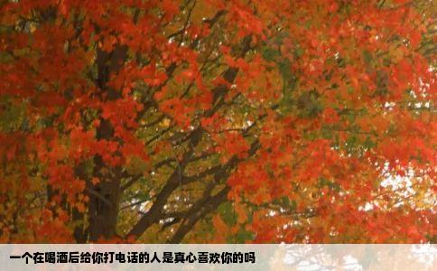 一个在喝酒后给你打电话的人是真心喜欢你的吗