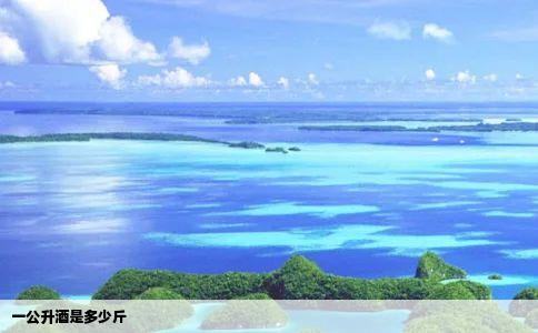 一公升酒是多少斤