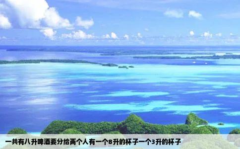 一共有八升啤酒要分给两个人有一个8升的杯子一个3升的杯子