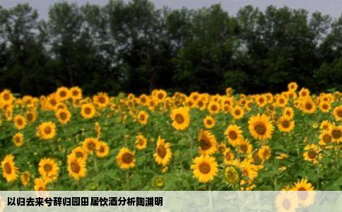 以归去来兮辞归园田居饮酒分析陶渊明