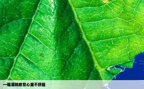 一喝酒就感觉心里不舒服