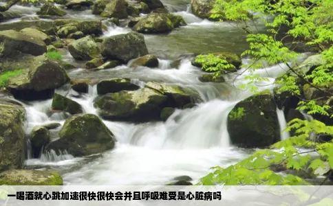 一喝酒就心跳加速很快很快会并且呼吸难受是心脏病吗