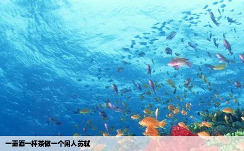 一壶酒一杯茶做一个闲人苏轼