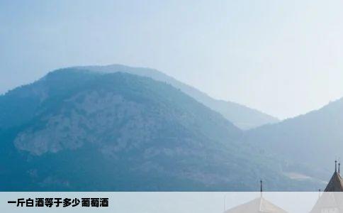 一斤白酒等于多少葡萄酒