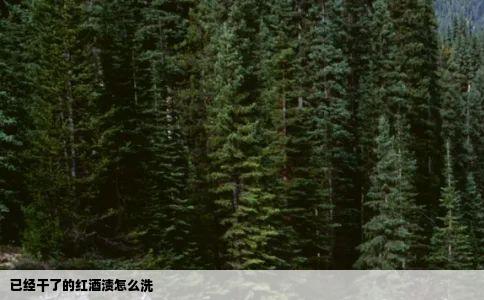 已经干了的红酒渍怎么洗