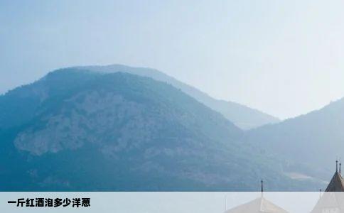 一斤红酒泡多少洋葱