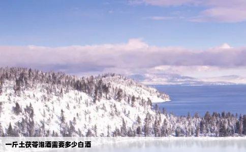 一斤土茯苓泡酒需要多少白酒