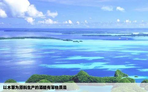 以木薯为原料生产的酒精有害物质是