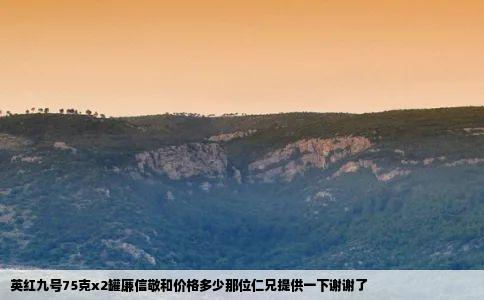 英红九号75克x2罐廉信敬和价格多少那位仁兄提供一下谢谢了