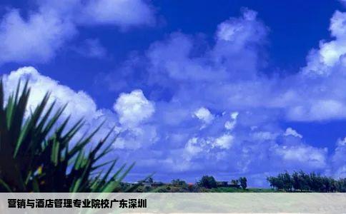 营销与酒店管理专业院校广东深圳