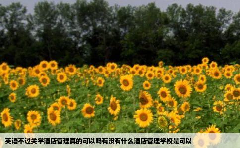 英语不过关学酒店管理真的可以吗有没有什么酒店管理学校是可以