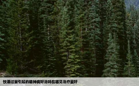 饮酒过量引起的精神病好治吗在哪见治疗最好