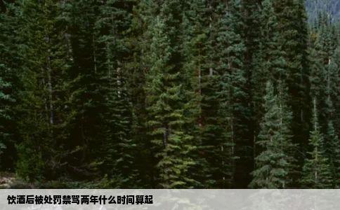 饮酒后被处罚禁骂两年什么时间算起