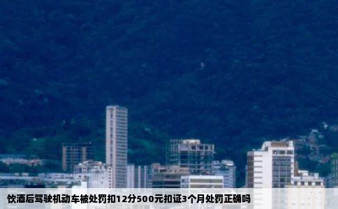 饮酒后驾驶机动车被处罚扣12分500元扣证3个月处罚正确吗
