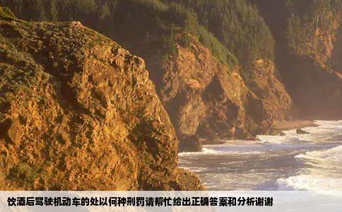 饮酒后驾驶机动车的处以何种刑罚请帮忙给出正确答案和分析谢谢