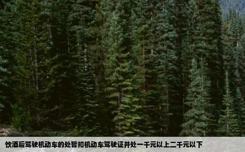 饮酒后驾驶机动车的处暂扣机动车驾驶证并处一千元以上二千元以下