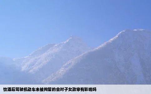 饮酒后驾驶机动车未被拘留的会对子女政审有影响吗