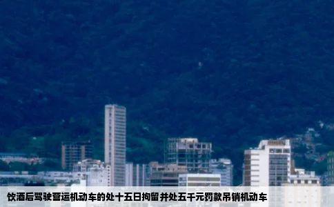 饮酒后驾驶营运机动车的处十五日拘留并处五千元罚款吊销机动车
