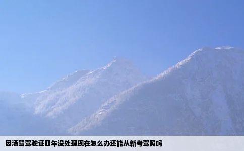 因酒驾驾驶证四年没处理现在怎么办还能从新考驾照吗