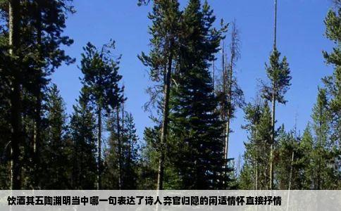 饮酒其五陶渊明当中哪一句表达了诗人弃官归隐的闲适情怀直接抒情