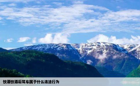饮酒饮酒后驾车属于什么违法行为