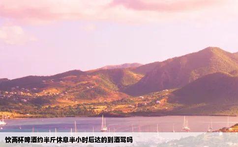 饮两杯啤酒约半斤休息半小时后达的到酒驾吗
