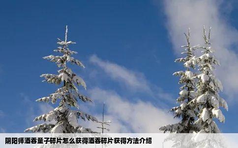 阴阳师酒吞童子碎片怎么获得酒吞碎片获得方法介绍