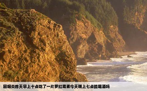 因咽炎昨天早上十点吃了一片罗红霉素今天晚上七点能喝酒吗
