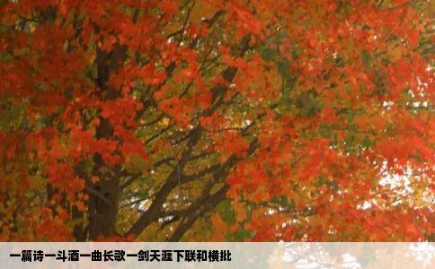 一篇诗一斗酒一曲长歌一剑天涯下联和横批
