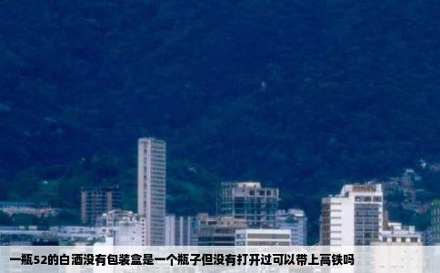 一瓶52的白酒没有包装盒是一个瓶子但没有打开过可以带上高铁吗