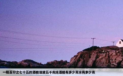 一瓶百分之七十五的酒精溶液五千克纯酒精有多少克水有多少克