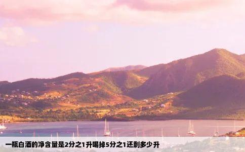 一瓶白酒的净含量是2分之1升喝掉5分之1还剩多少升