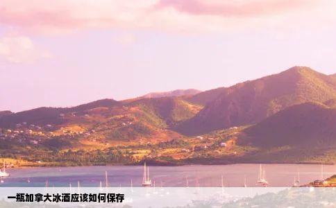 一瓶加拿大冰酒应该如何保存