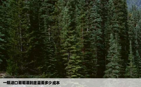 一瓶进口葡萄酒到底需要多少成本