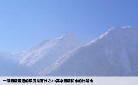 一瓶酒精溶液的浓度是百分之20其中酒精和水的比是比