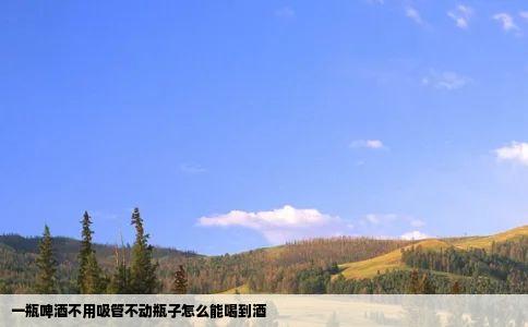 一瓶啤酒不用吸管不动瓶子怎么能喝到酒