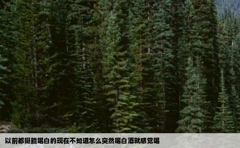 以前都挺能喝白的现在不知道怎么突然喝白酒就感觉喝