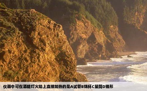 仪器中可在酒精灯火焰上直接加热的是A试管B烧杯C量筒D锥形