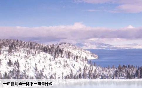 一曲新词酒一杯下一句是什么