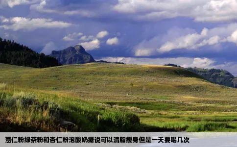 薏仁粉绿茶粉和杏仁粉泡酸奶据说可以清脂瘦身但是一天要喝几次