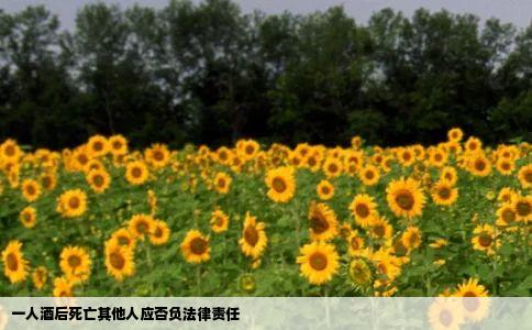 一人酒后死亡其他人应否负法律责任