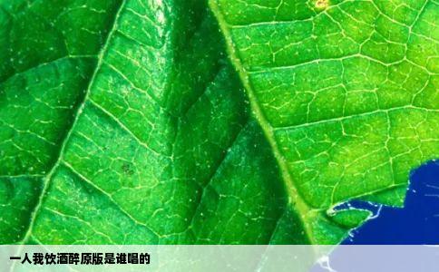 一人我饮酒醉原版是谁唱的