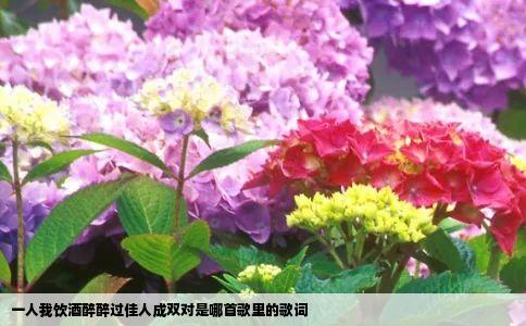 一人我饮酒醉醉过佳人成双对是哪首歌里的歌词