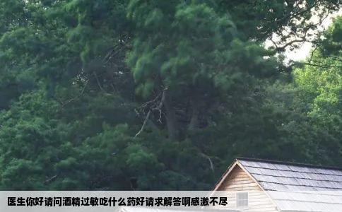 医生你好请问酒精过敏吃什么药好请求解答啊感激不尽