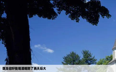 医生你好我喝酒喝醉了两天后大